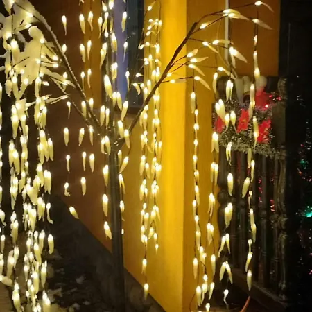 Eden Garden *